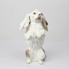Antique Dresden Porcelain Bolognese Dog Figurine