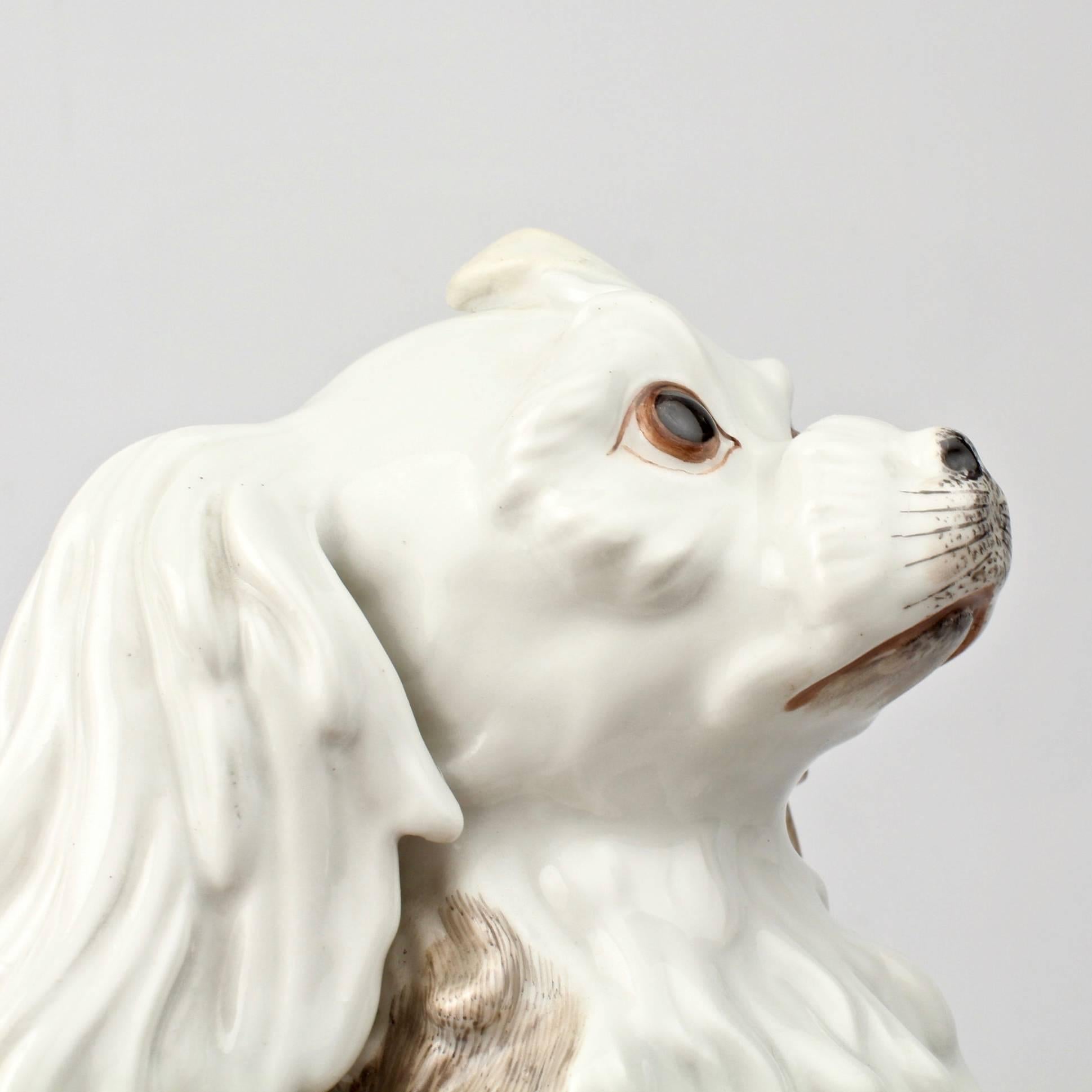 19th Century Antique Dresden Porcelain Bolognese Dog Figurine