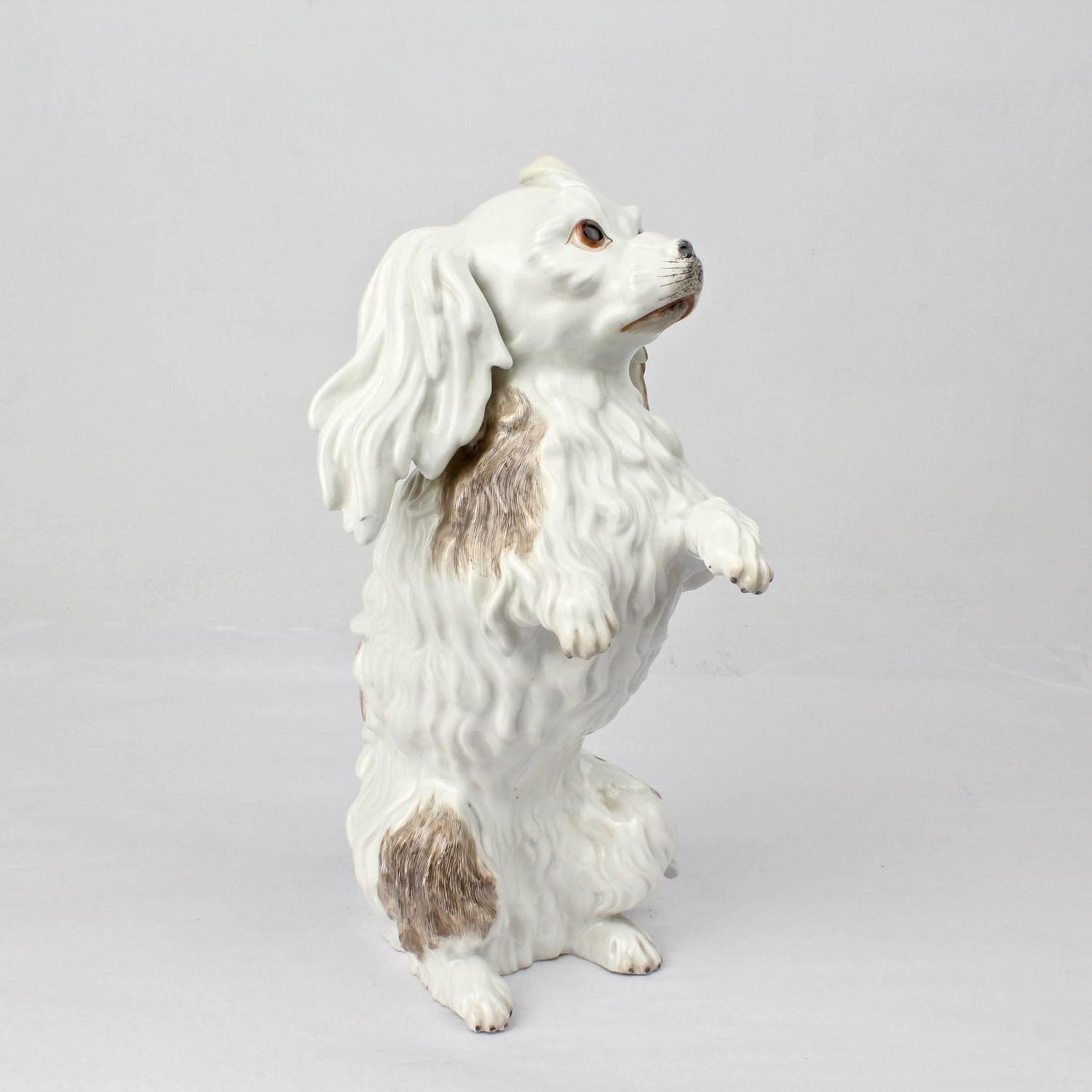 Antique Dresden Porcelain Bolognese Dog Figurine For Sale at 1stdibs