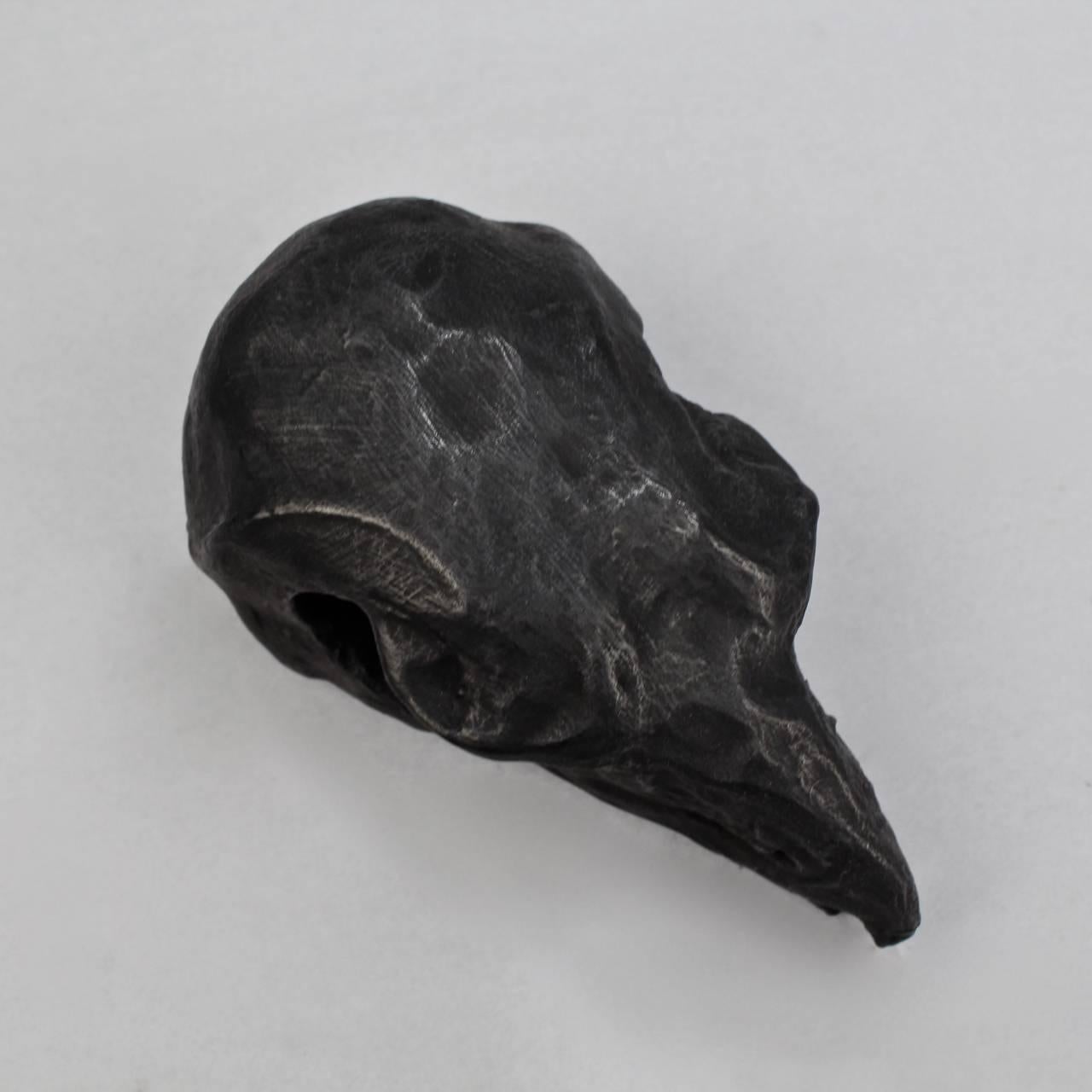 Unique Black Painted Terracotta Sculpture of a Hawk Skull by Darla Jackson, 2016 In Good Condition For Sale In Philadelphia, PA