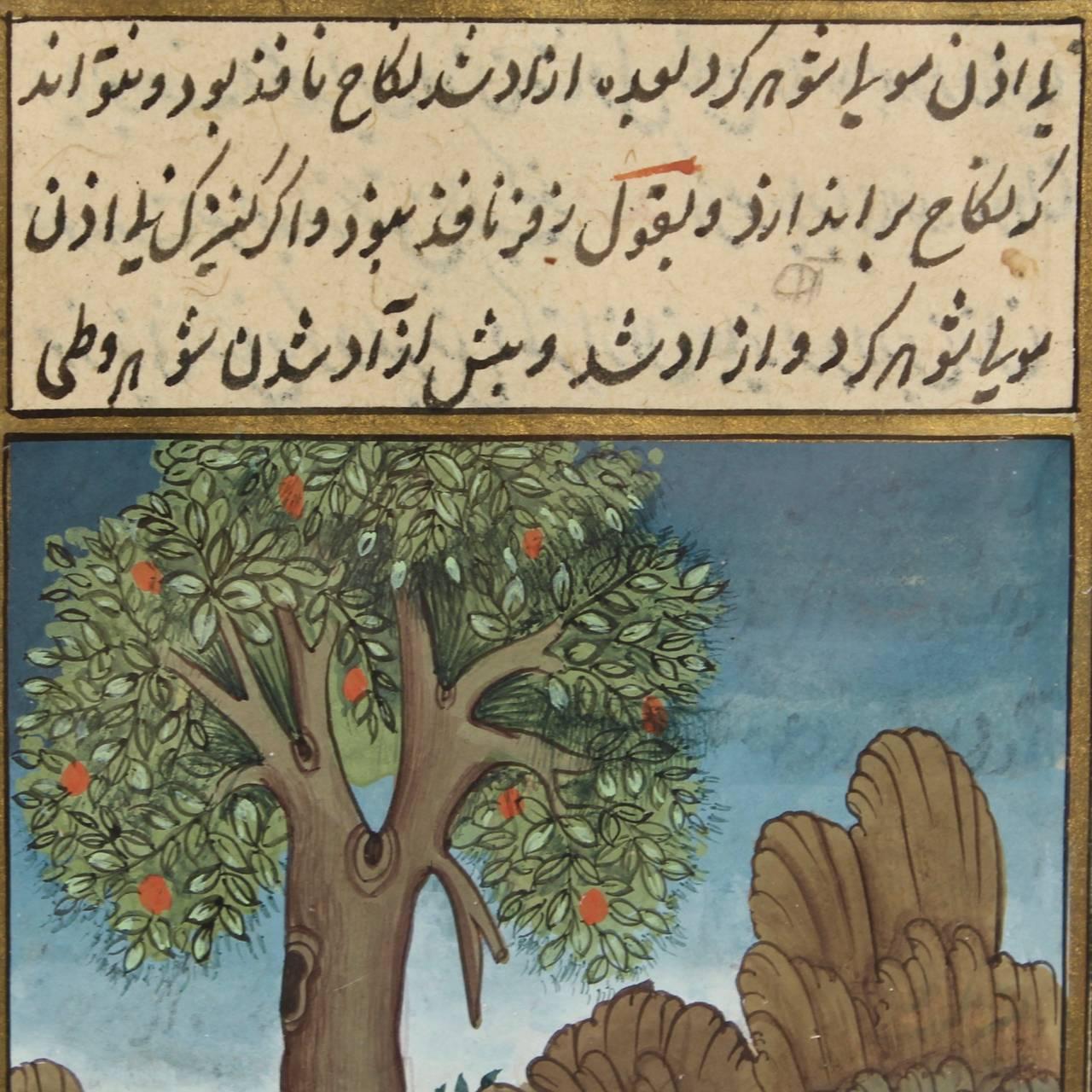 Indien Manuscrit ancien indien / indo-persane moghol islamique illustré avec singes en vente