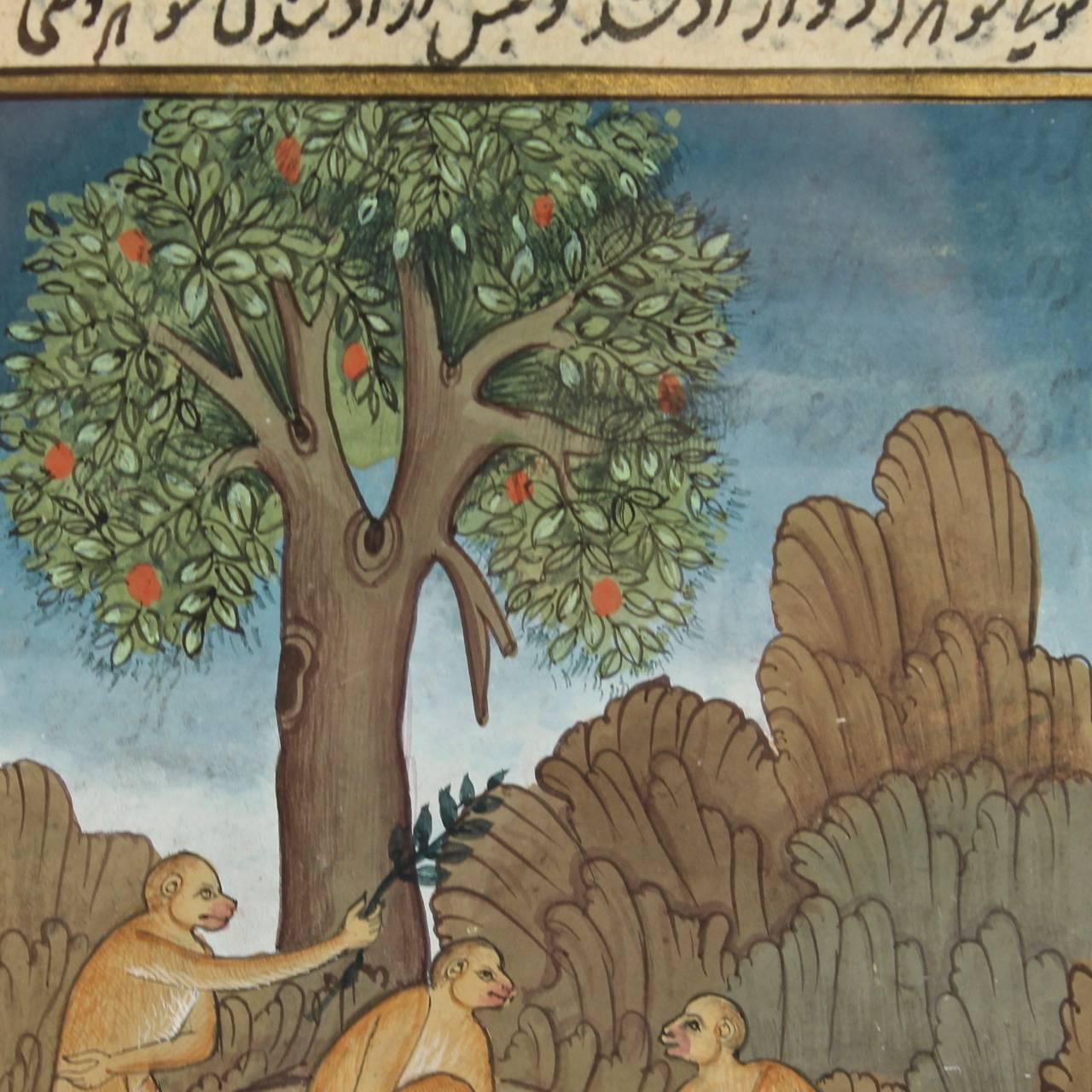 Peint à la main Manuscrit ancien indien / indo-persane moghol islamique illustré avec singes en vente