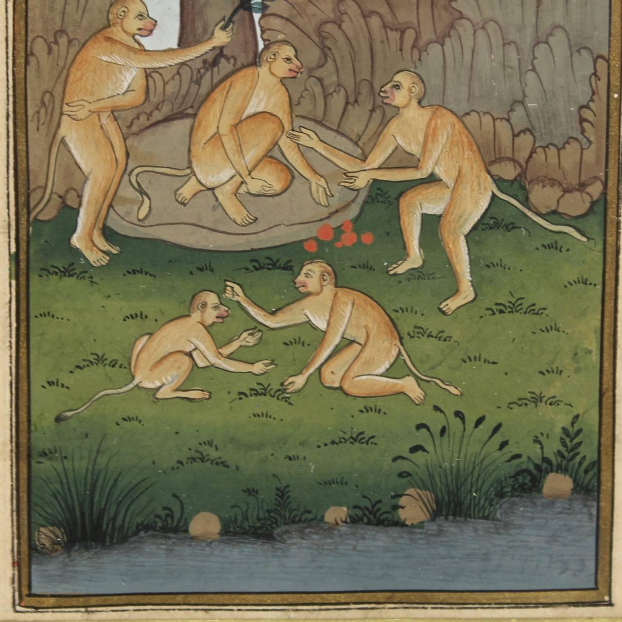 Antique Indian / Indo-Persia Moghul Islamic Illustrated Manuscript with Monkeys In Good Condition For Sale In Philadelphia, PA