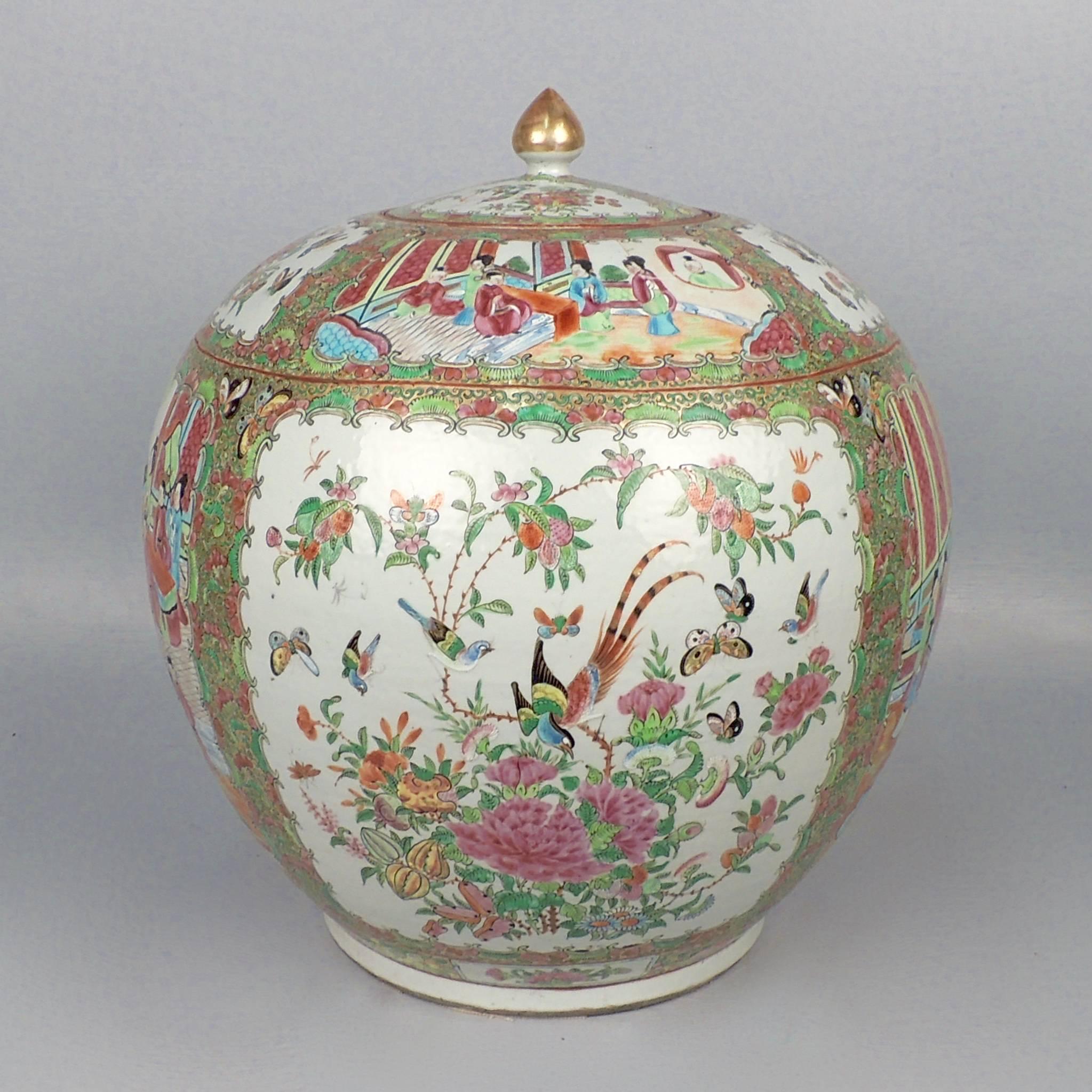 An impressively large, antique Chinese Porcelain lidded round urn or melon jar in the Rose Medallion pattern. The body has the typical alternating interior and bird, insect and peony panels in the typical 