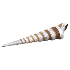 Ruzzetti & Gow Attributed High-Spire Seashell with Silver Overlay