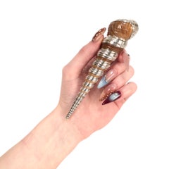 Ruzzetti & Gow Attributed High-Spire Seashell with Silver Overlay