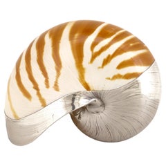 Ruzzetti & Gow Chambered Nautilus Seashell with Silver Overlay