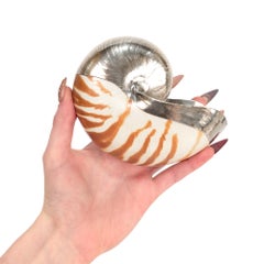 Ruzzetti & Gow Chambered Nautilus Seashell with Silver Overlay