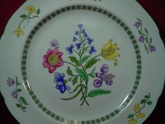 SPODE china SUMMER PALACE W150 fine stone DINNER PLATE 10-3/8"