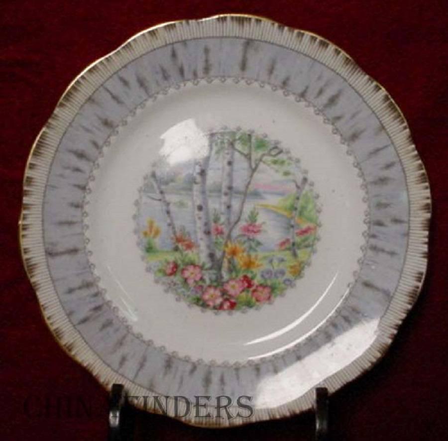 CHINA FINDERS 

China, Crystal, Flatware and Collectible Matching Service is offering ONE (1) 

ROYAL ALBERT china SILVER BIRCH pattern 24-piece Tea or Dessert Set

in great condition free from chips, cracks, break, stain, or discoloration and