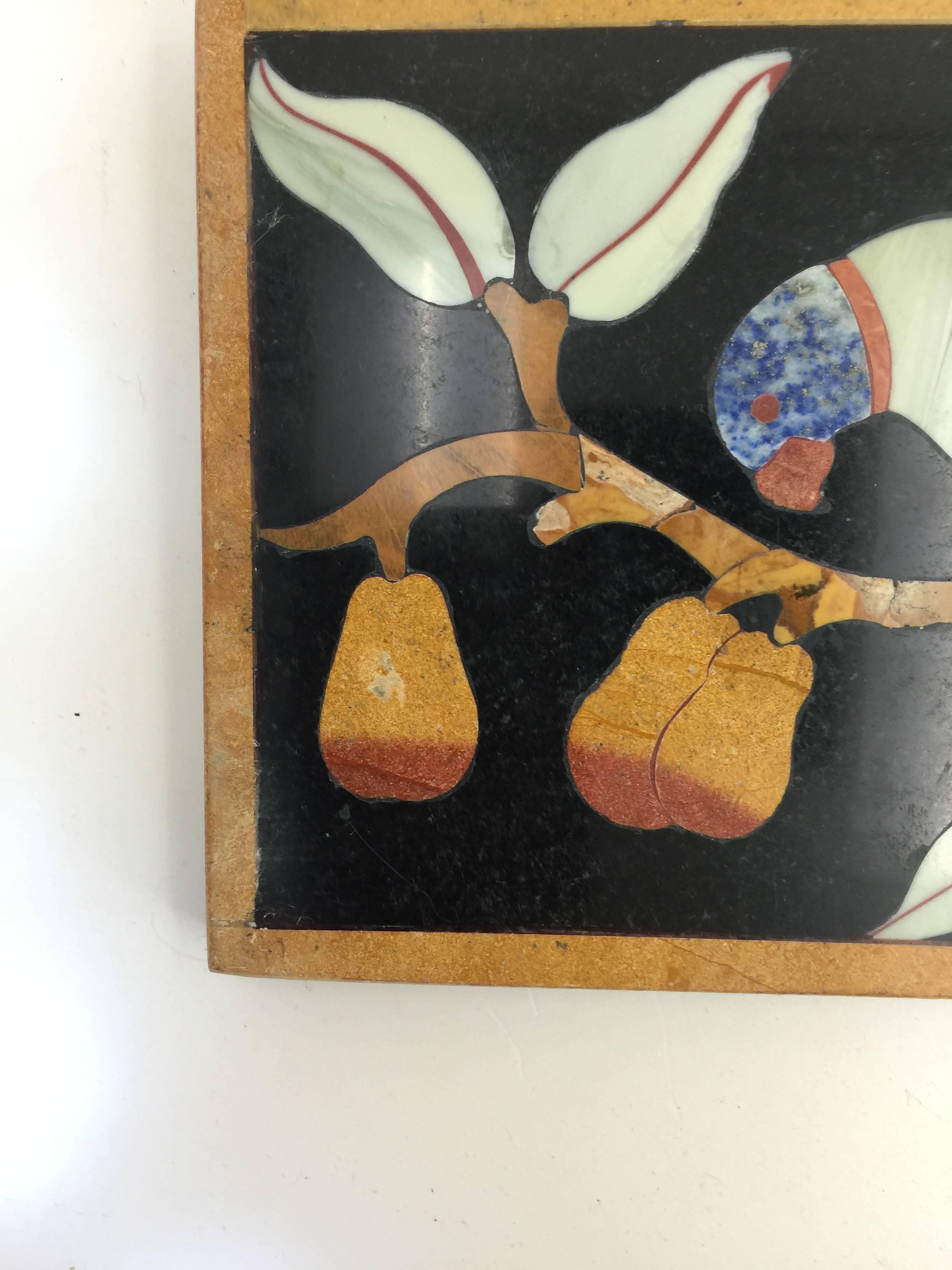 Baroque Italian Pietre Dure Panel of Parrot on Branch, Late 17th Century For Sale