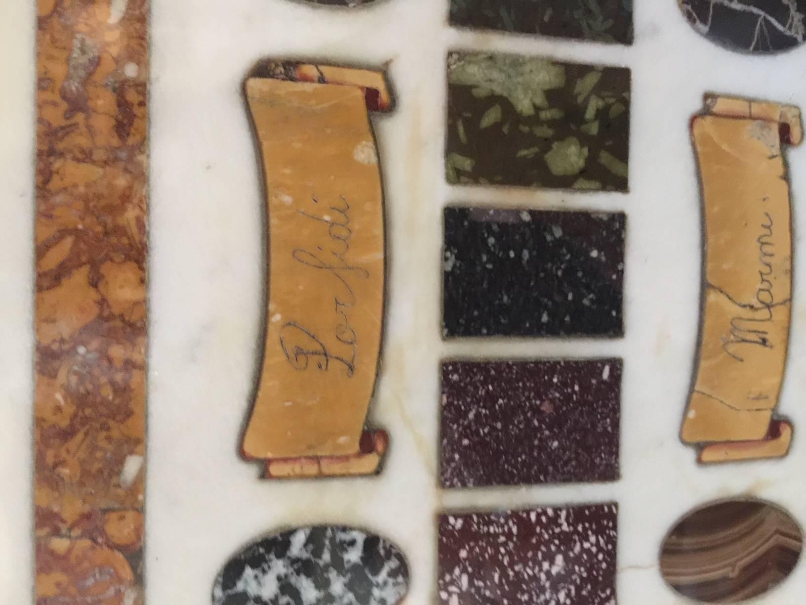 Panel de muestra italiano de Pietra Dura, probablemente Florencia, Siglo XIX Italiano en venta