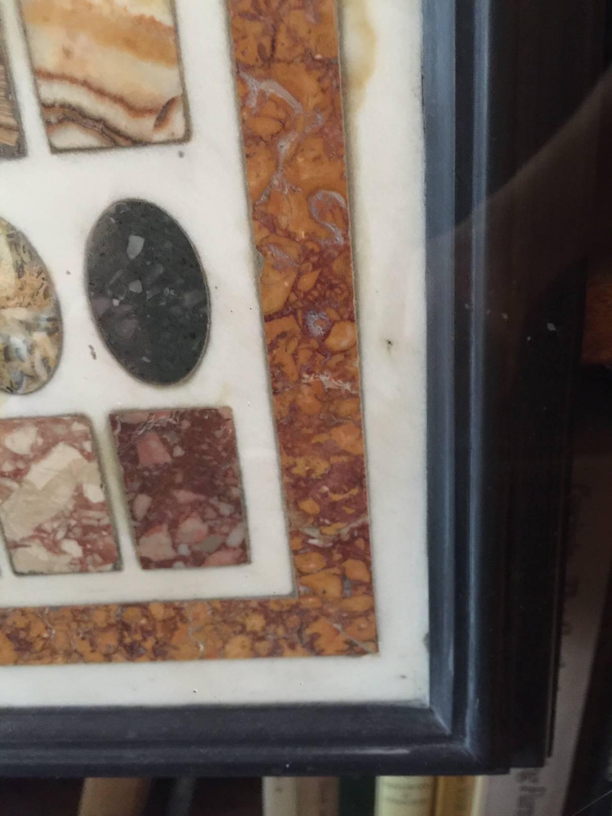 Panel de muestra italiano de Pietra Dura, probablemente Florencia, Siglo XIX Incrustación en venta
