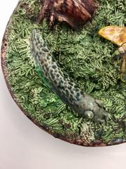 Small Palissy Style Majolica Earthenware Plate, Portuguese
