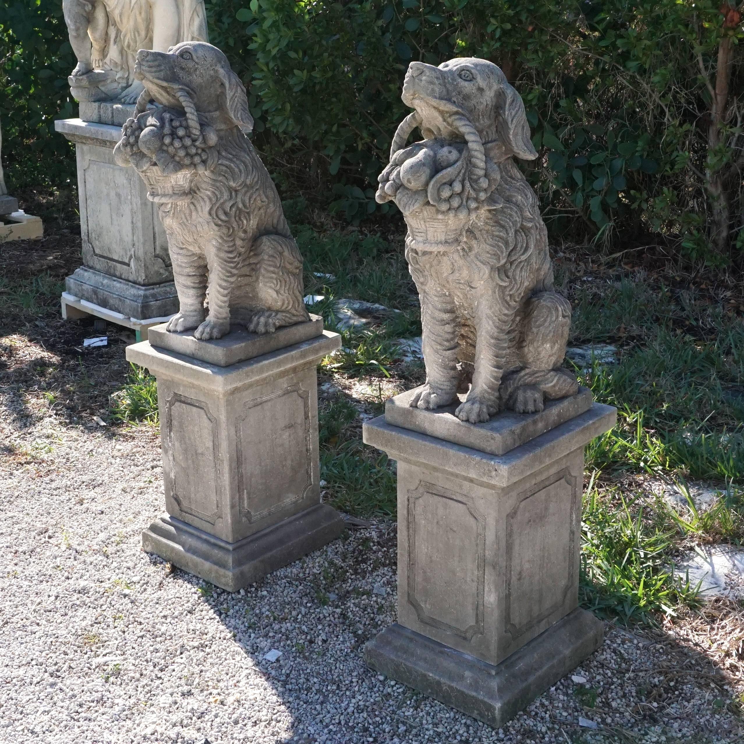 A pair of vintage hunting dogs holding each a basket on base, and facing each other, circa 1930. Hand-carved in limestone. Prov. from an estate in near San Gimignano, Tuscany. The original plinths with decorative bevelled fields are provided.