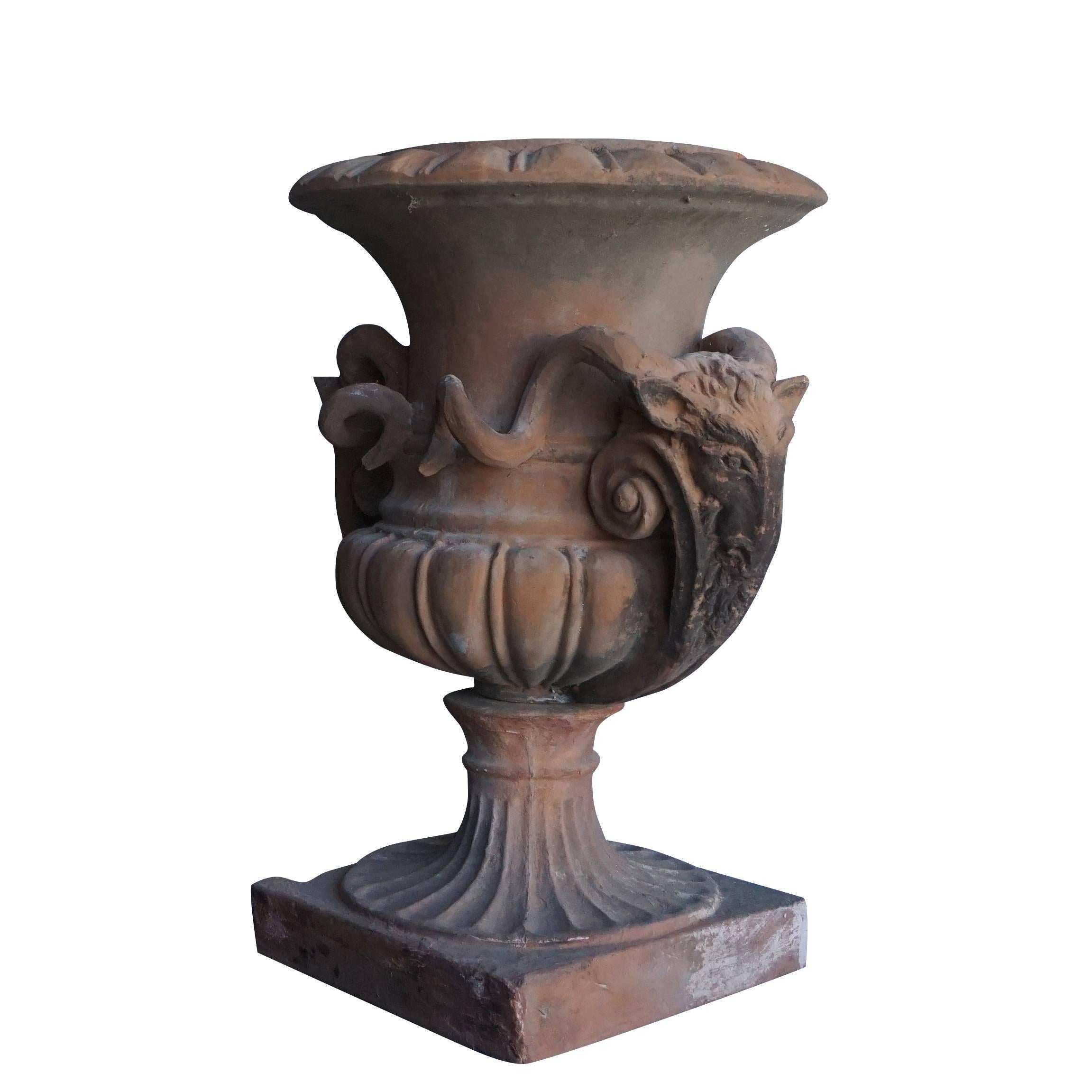 A very rare pair of Tuscan neoclassical style terra cotta urns with a lobed bodice and goat head handles, elevated on square attached bases. A typical style from a garden in Tuscany, good condition, minor repairs perfect patina, circa 1880, Siena,