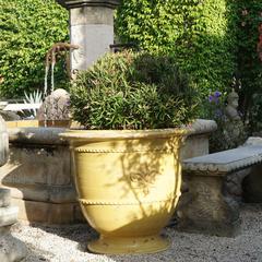 Pair of Classic Yellow French Fleur de Lys Anduze Garden Urn Planters