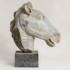 Testa di cavallo in marmo della metà del XIX secolo