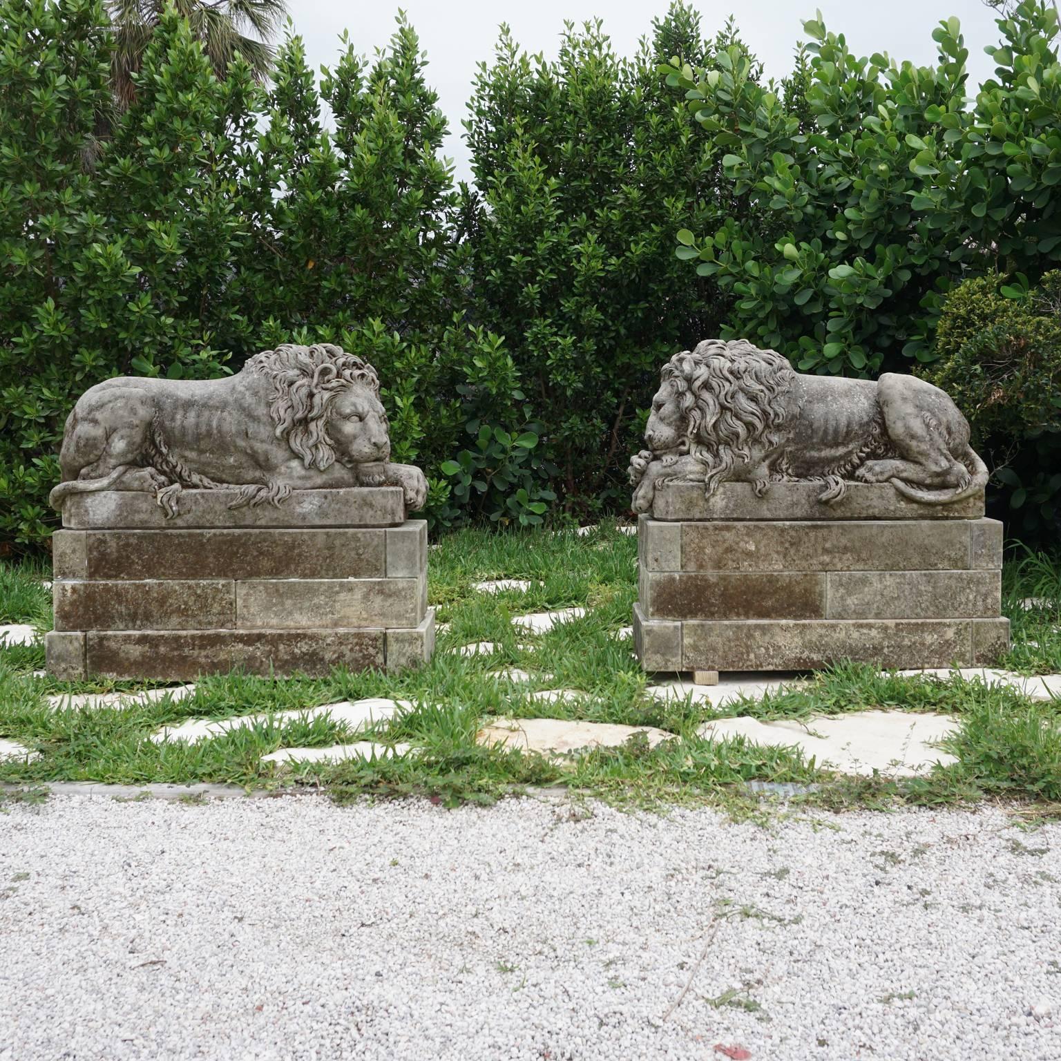 A very rare pair of Canova lions in Italian limestone sitting on original bases. The pair together with bases and lions weigh approximately 2300 lbs. The Lion weights 600 lbs and each base weights 550 lbs. After a pair of marble lions sculpted by