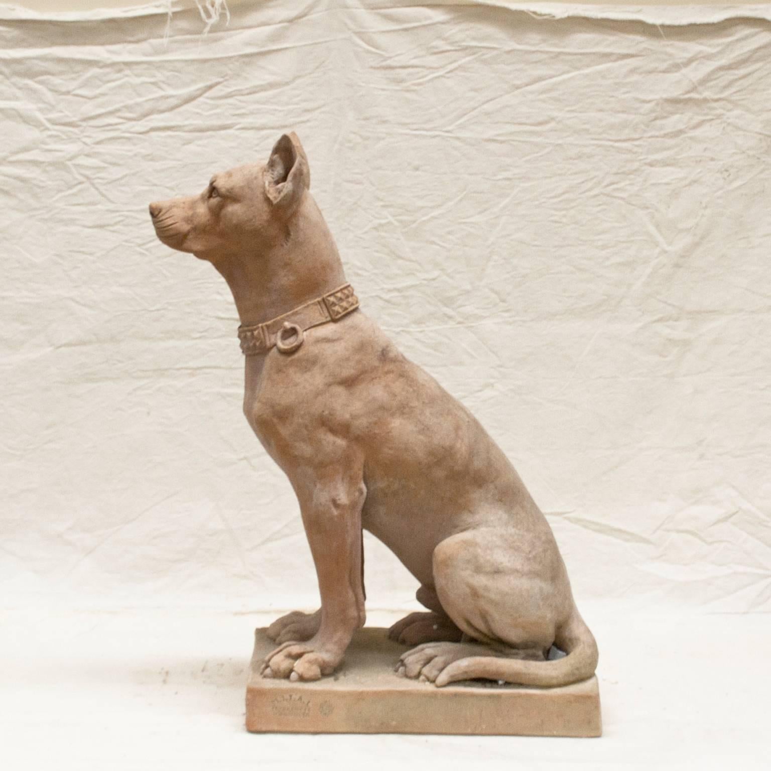 A pair of Italian terra cotta dogs statues elevated on simple bases.
This extinct dog race originated during antique times in the South parts of the Mediterranean (circa 8th century A.D.). Today these statues are still visible in the British