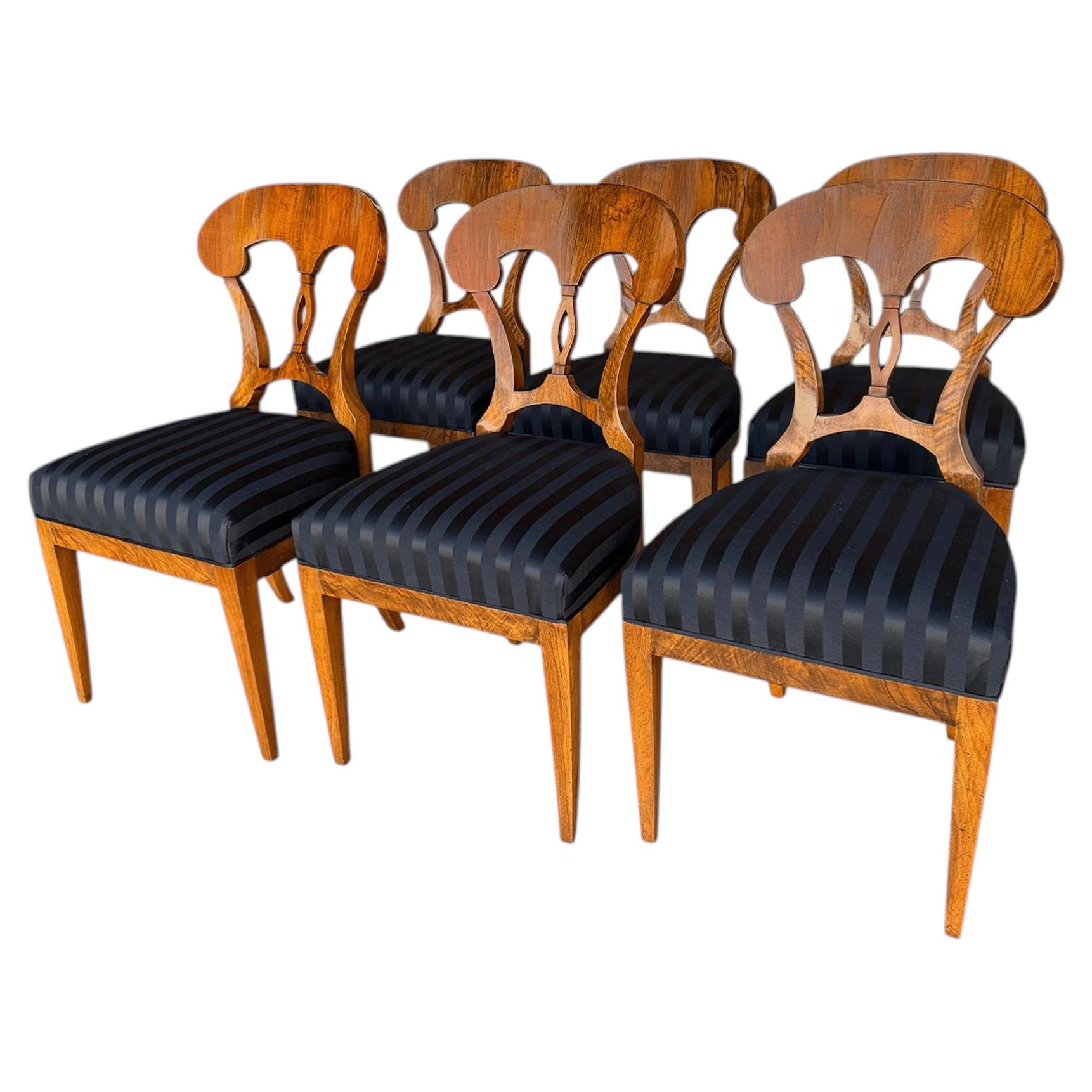 Set of Six 19th Century Biedermeier Chairs, from Germany