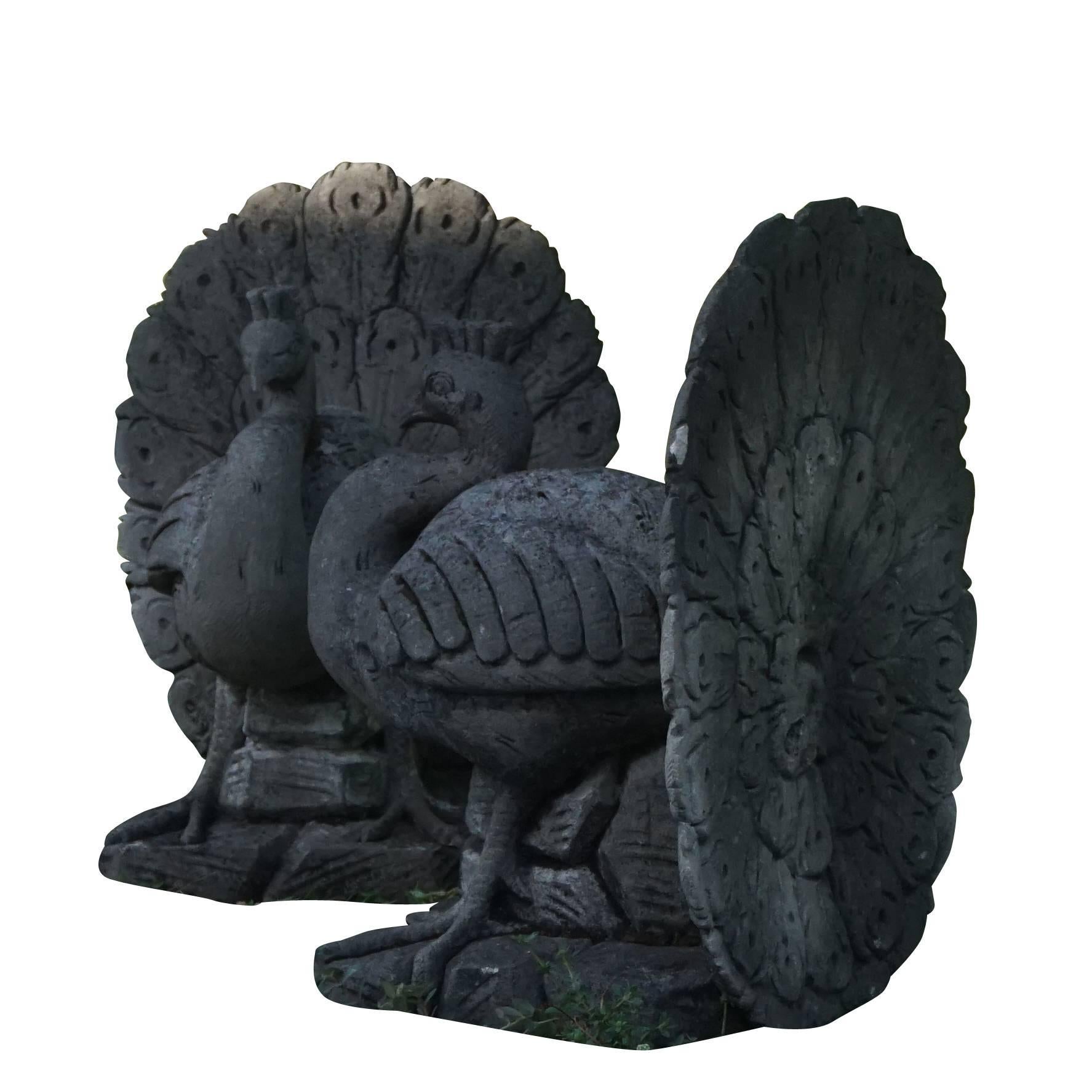 A pair of fan tailed Italian garden peacocks showing their large tail feathers or coverts. Hand carved detailed sculptures executed in limestone on an attached bases, circa 1920. Naturally aged patina.