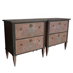 20th Century Pair of Gustavian Style Chests