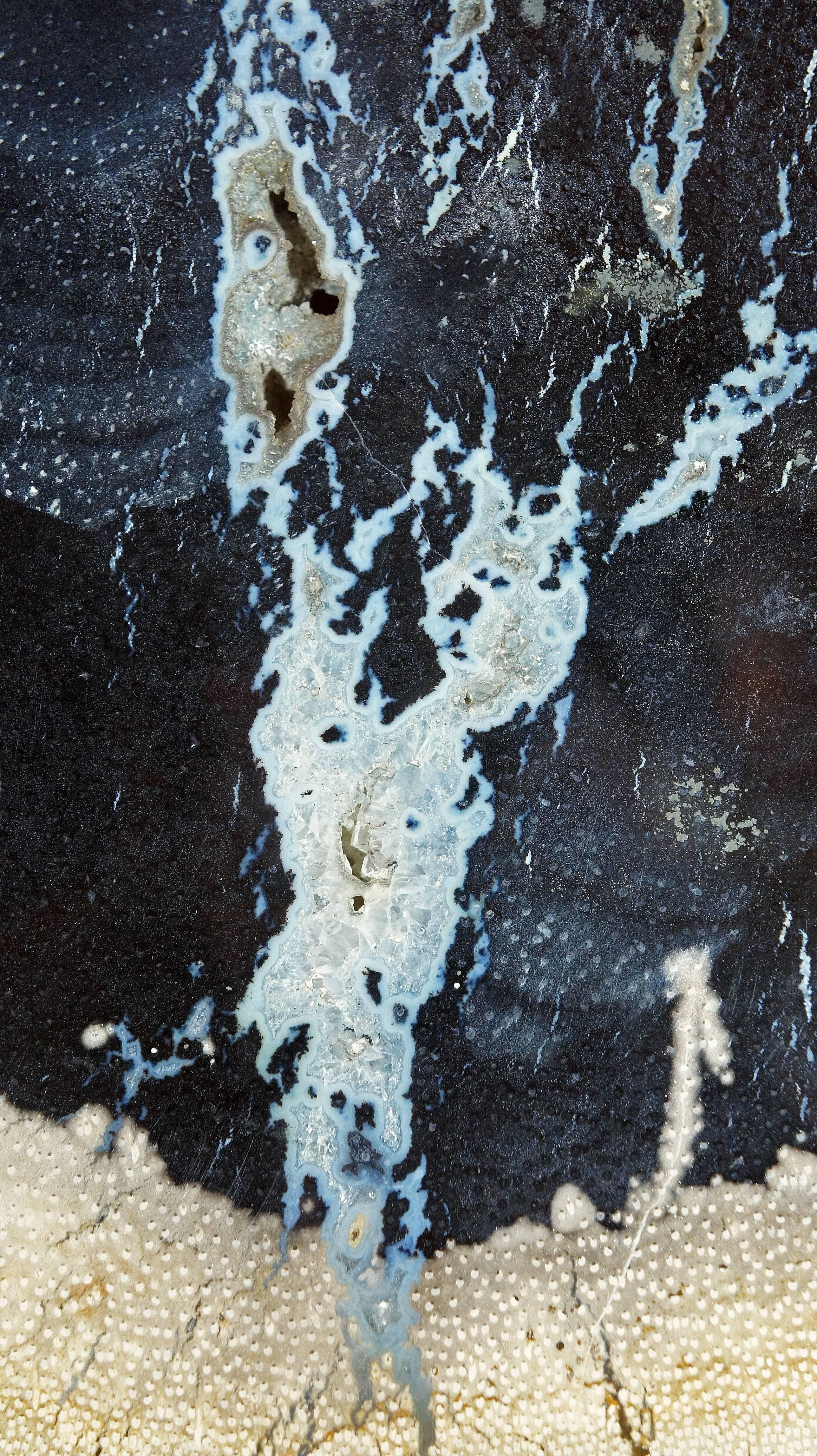 Indonesian Petrified Wood