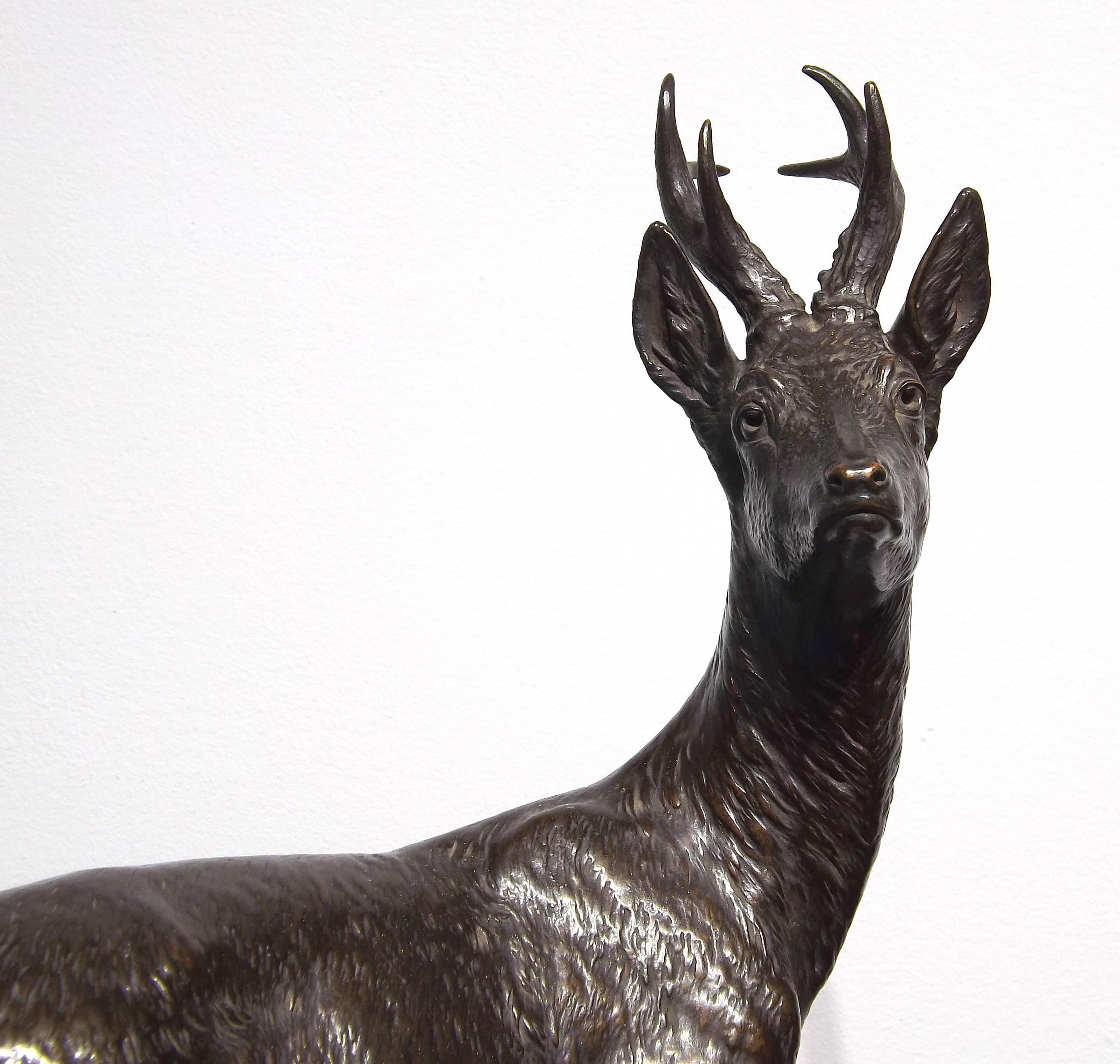 A young deer poses majestically, gazing off into the distance and ready to run at a moments notice. Excellently sculpted by German artist Fritz Diller (1875 - 1945).

Diller was born in Gerhausen, but eventually settled himself in the city of