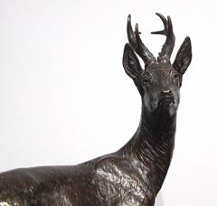 'Young Buck' Original Bronze by Fritz Diller