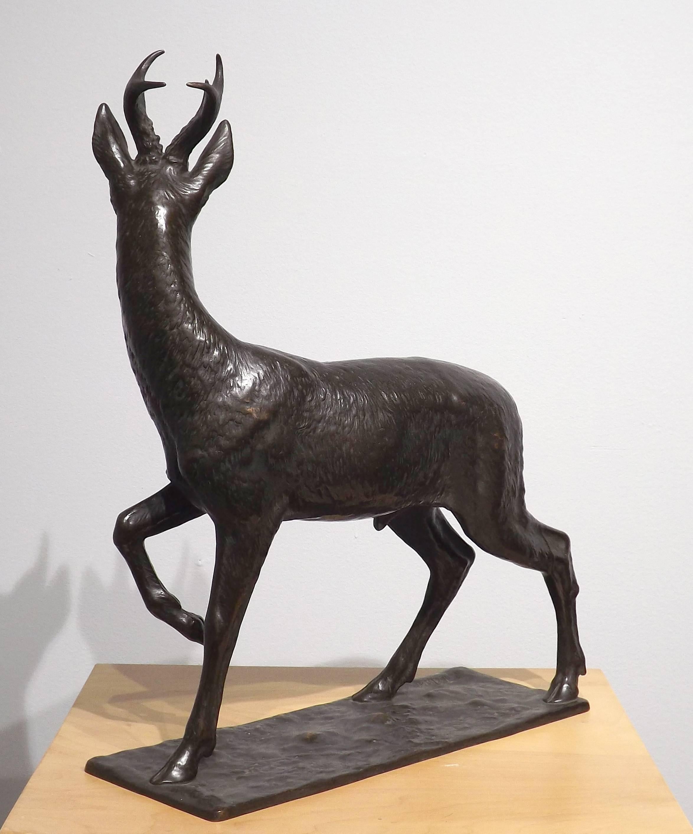 German 'Young Buck' Original Bronze by Fritz Diller