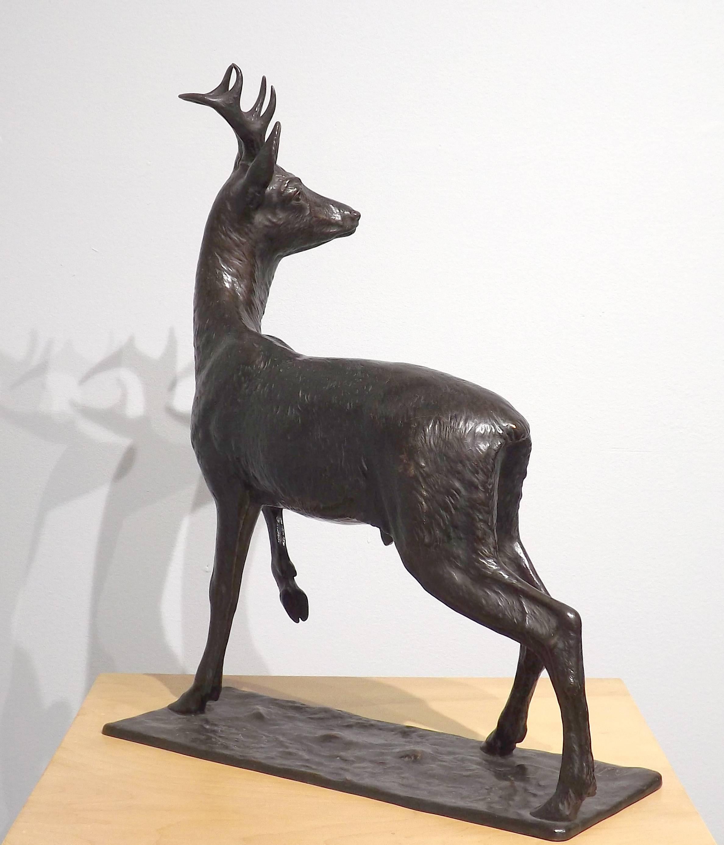 Cast 'Young Buck' Original Bronze by Fritz Diller