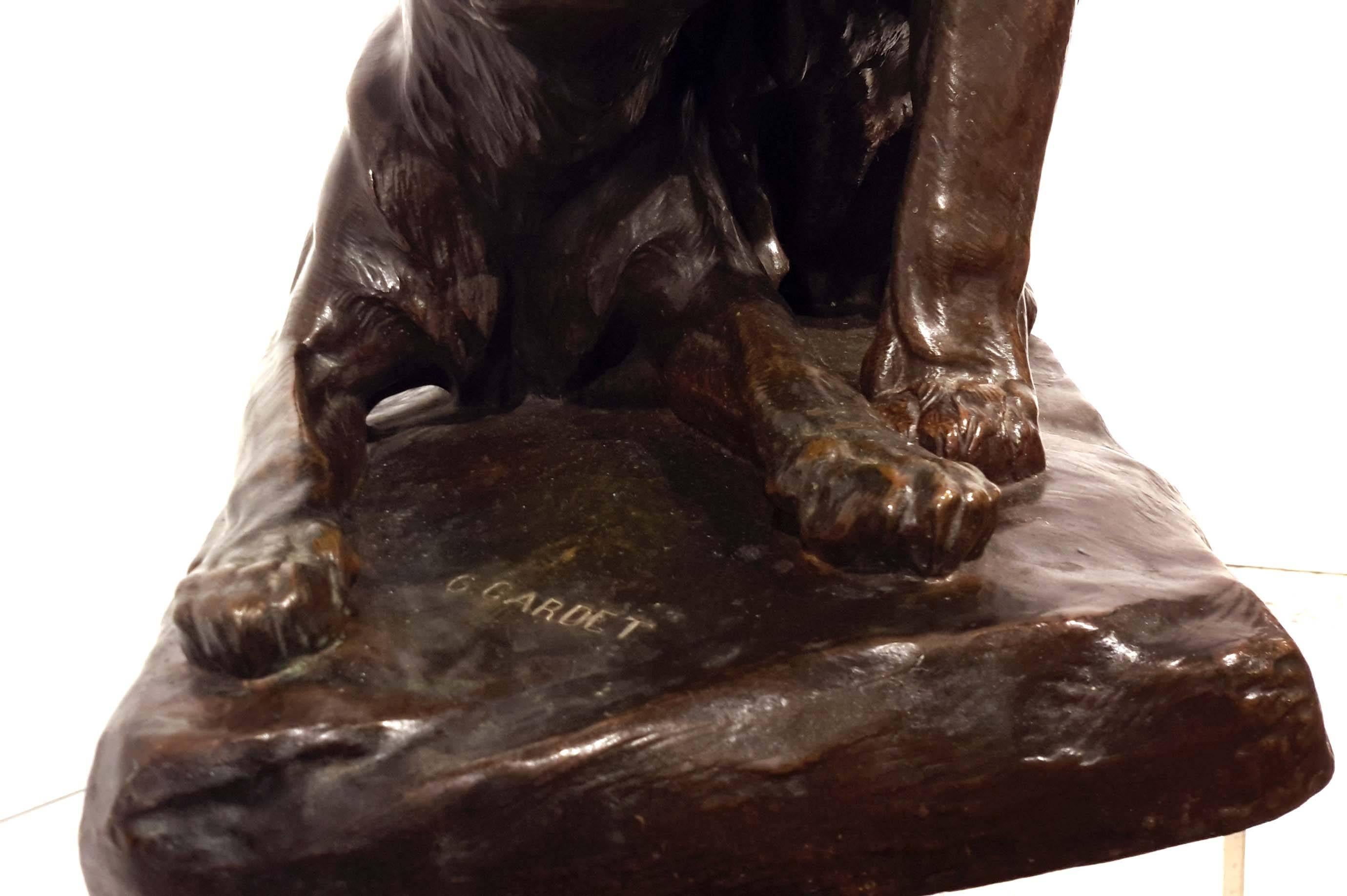 Bronze Georges Gardet (French, 1863-1939) Lion Et Lionne