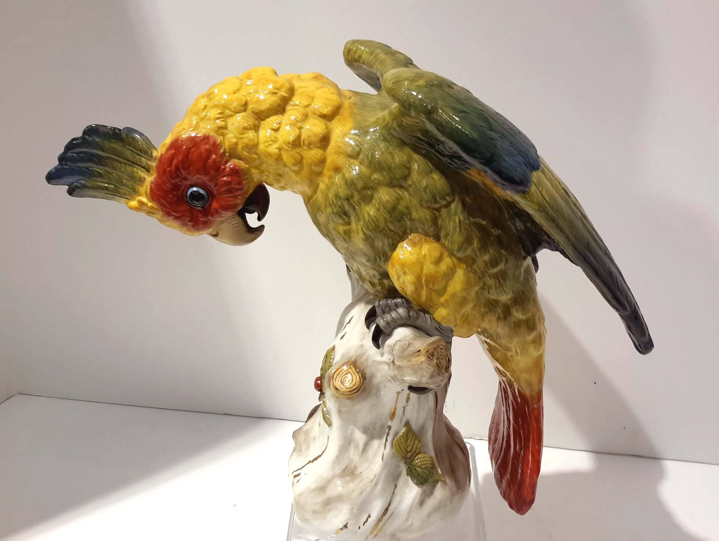 Glazed Pair of Large Dresden Porcelain Parrots, Germany, circa 1910