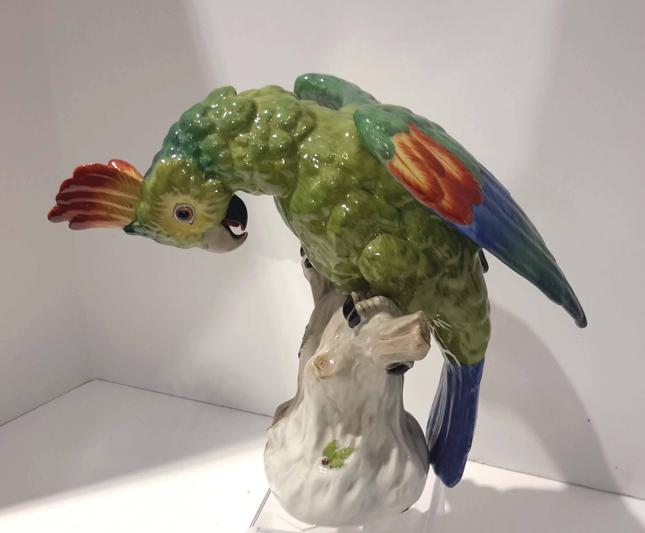 Pair of Large Dresden Porcelain Parrots, Germany, circa 1910 In Good Condition In New York, NY