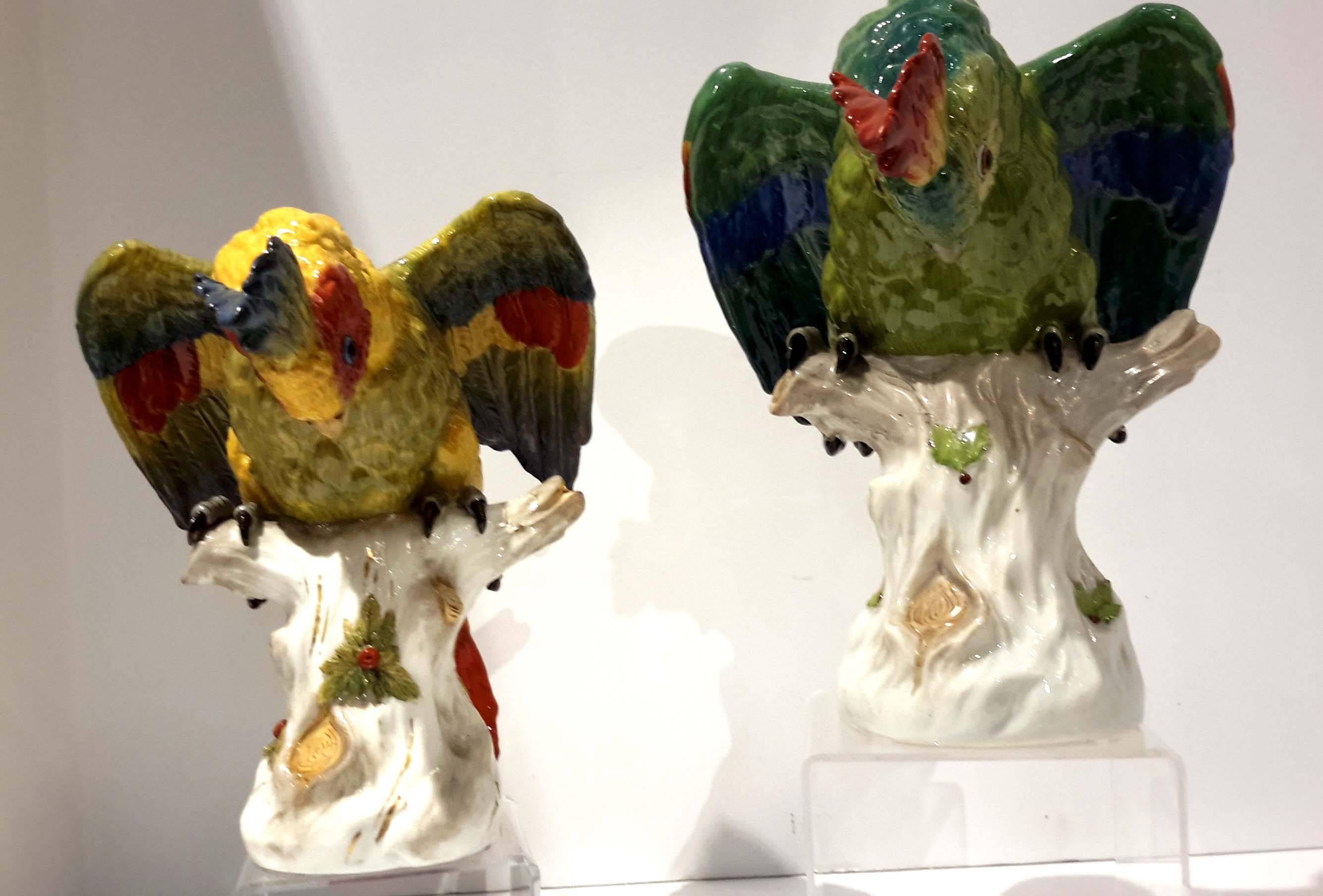 Other Pair of Large Dresden Porcelain Parrots, Germany, circa 1910