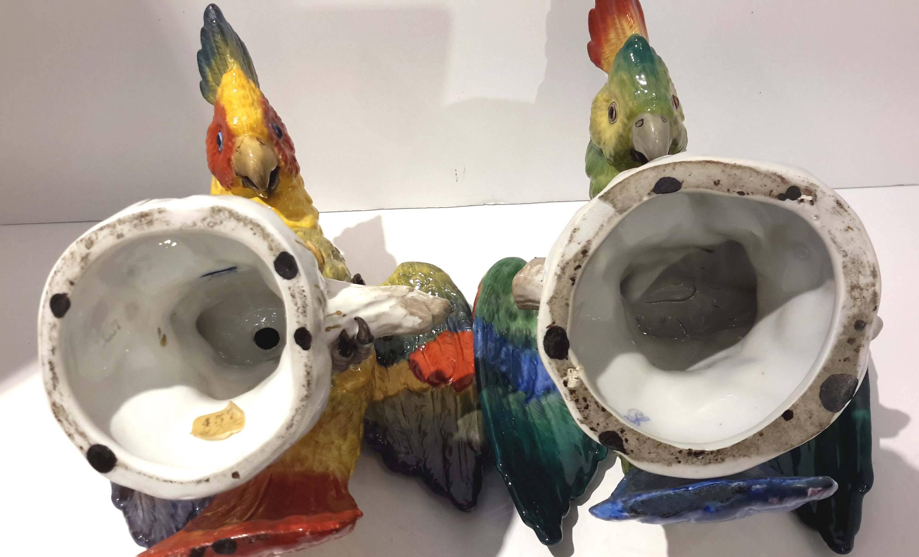 Pair of Large Dresden Porcelain Parrots, Germany, circa 1910 4