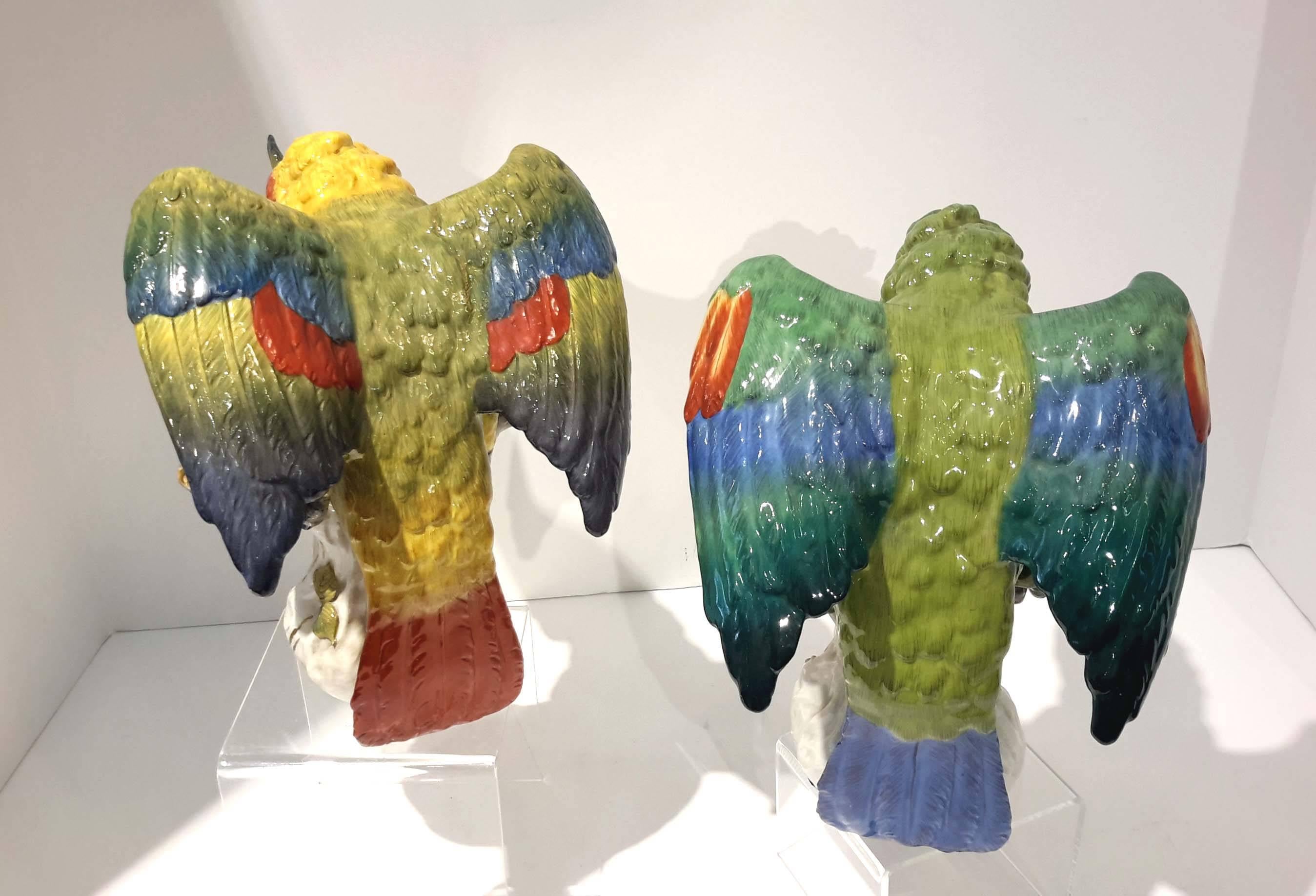 Pair of Large Dresden Porcelain Parrots, Germany, circa 1910 2