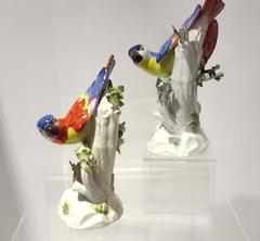 Two Beautiful Meissen Porcelain Parrots, Germany, circa 1921