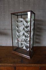 Arrow Collar Display Case, 1910s-1920s