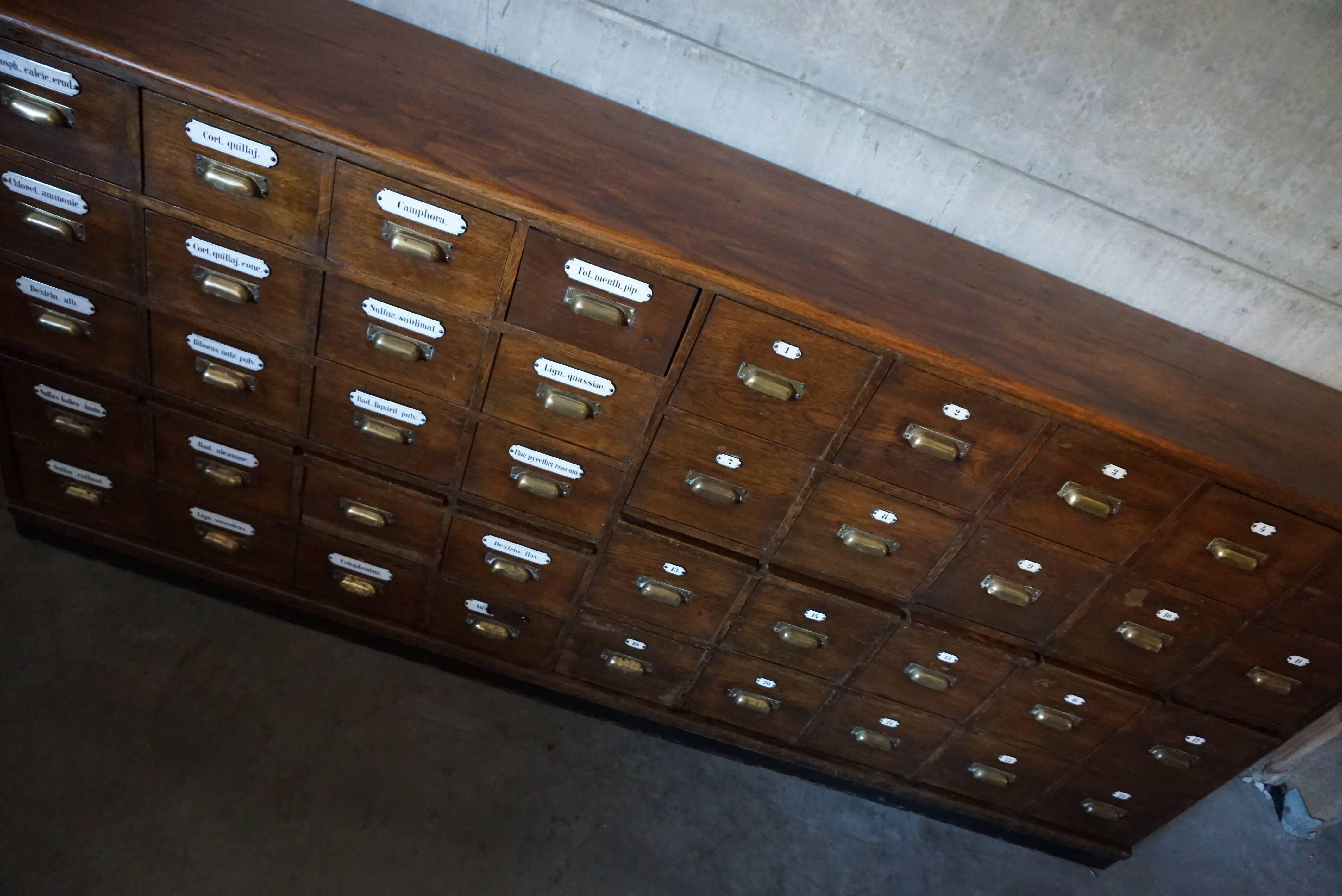 Dutch Oak Apothecary Bank of Drawers, 1900s 3
