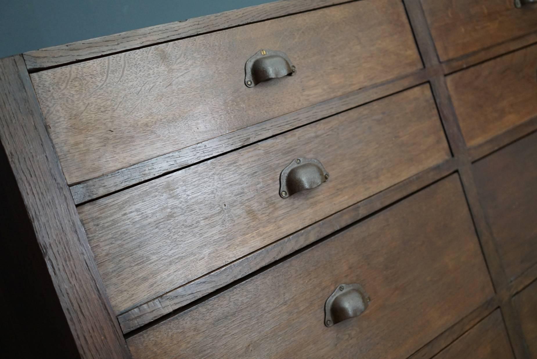 Industrial Large French Oak Apothecary Cabinet, 1950s