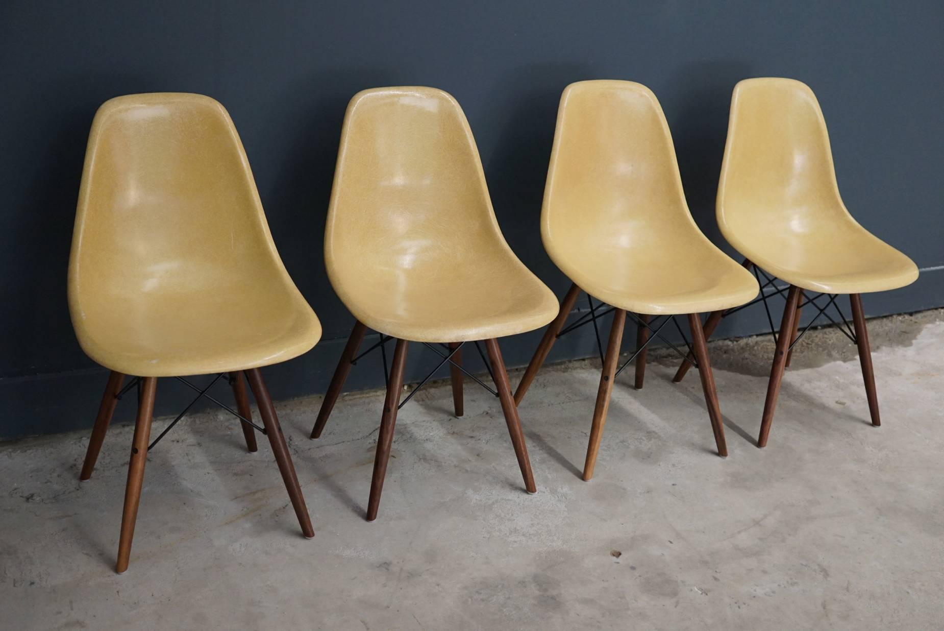 American Ochre DSW Chairs by Charles and Ray Eames, 1950s, Set of Four