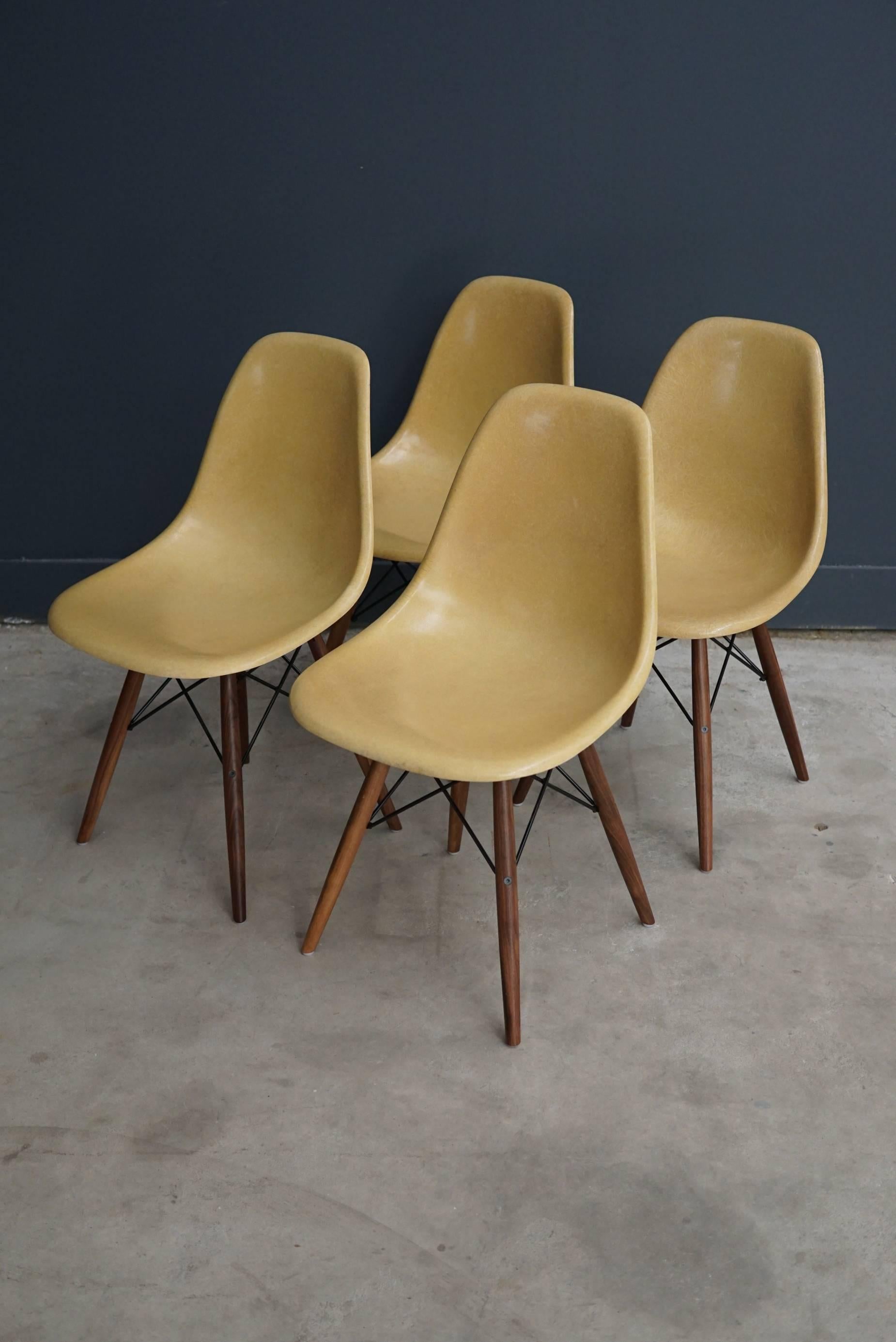 Ochre DSW Chairs by Charles and Ray Eames, 1950s, Set of Four In Good Condition In Nijmegen, NL