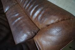 Zweisitzer-sofa aus büffelleder von De Sede