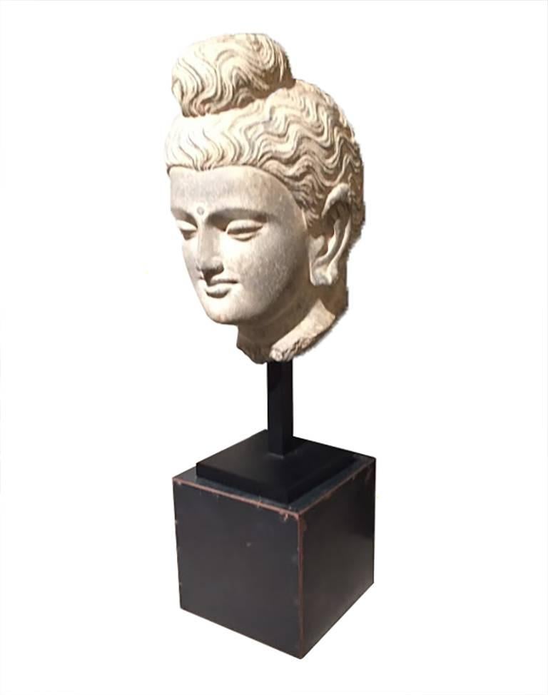 Sculpture head of Buddha Gandhara culture, Pakistani schist, circa 2nd-4th century. This piece is part of designer John Brevard's personal collection and has been shown in his NYC gallery space. This piece was purchased from a Belgium antiquities