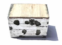 One of a kind Sculpture Table with Coral from countries around the world