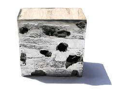 Sculpture Table with Coral from all contenants cast into the mold