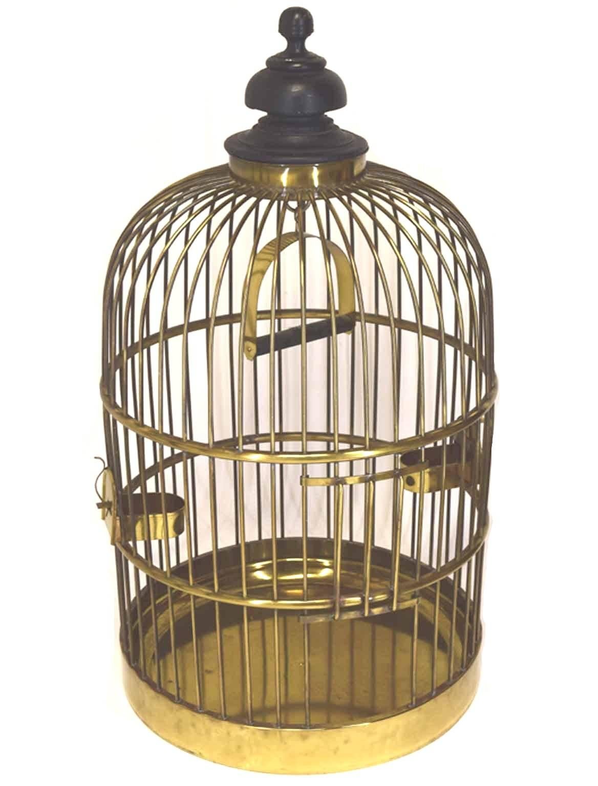 18th Century Pair of Decorative Antique English Rolled Brass Wire Parrot Cages, circa 1845 For Sale
