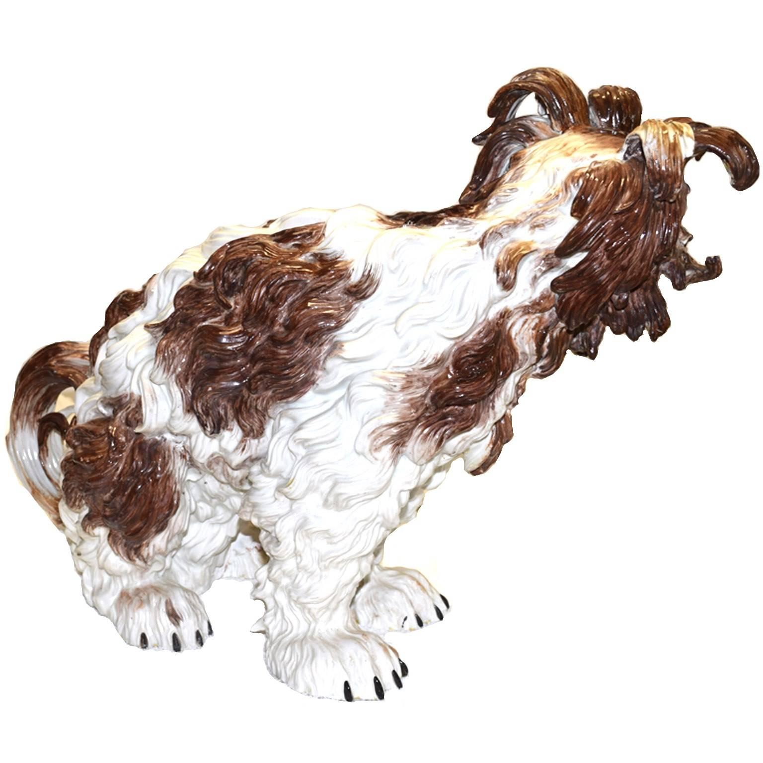 Rare antique German Dresden porcelain model of a Bolognese hound; seated on his haunches, seated to the left, with incised fur, fine black and brown markings, tail curled, white muzzle, articulated raised front paws, with black nails, circa 1880.